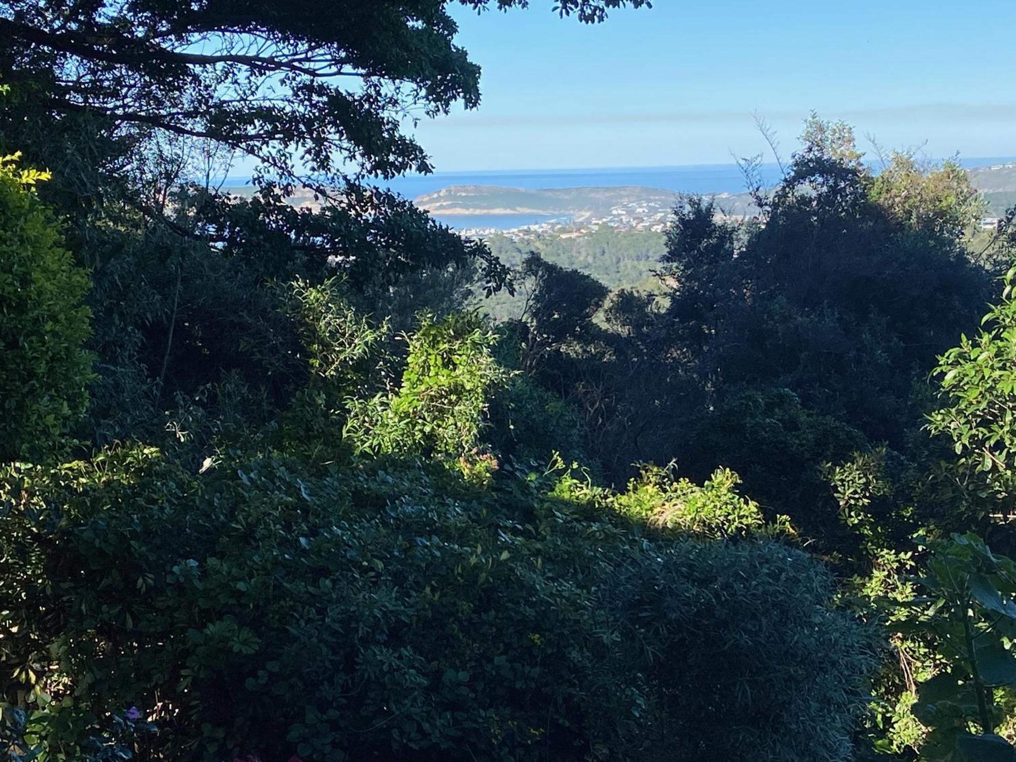 Castleton Self-Catering Accommodation Plettenberg Bay Ngoại thất bức ảnh